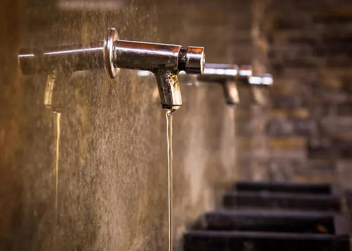 Kupelne Domceky - Kupele Cerveny Klastor Smerdzonka 2* Cerveny Klastor